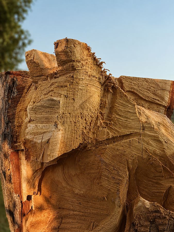 Arbeitsschritt 1: Das Holz